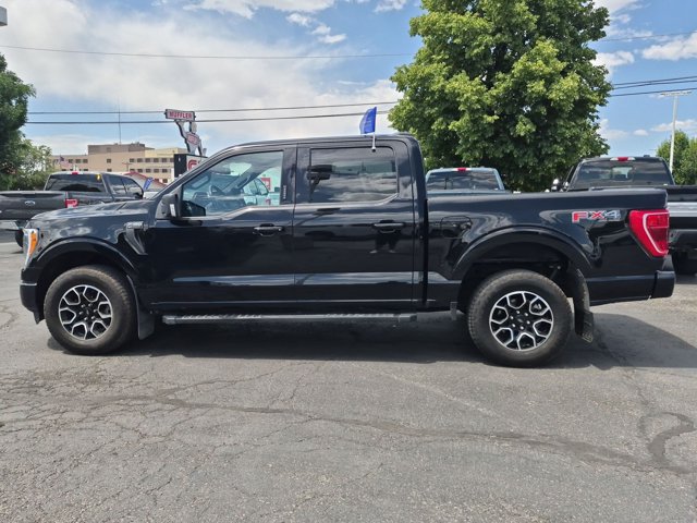 2023 FORD F-150 XLT 照片 6