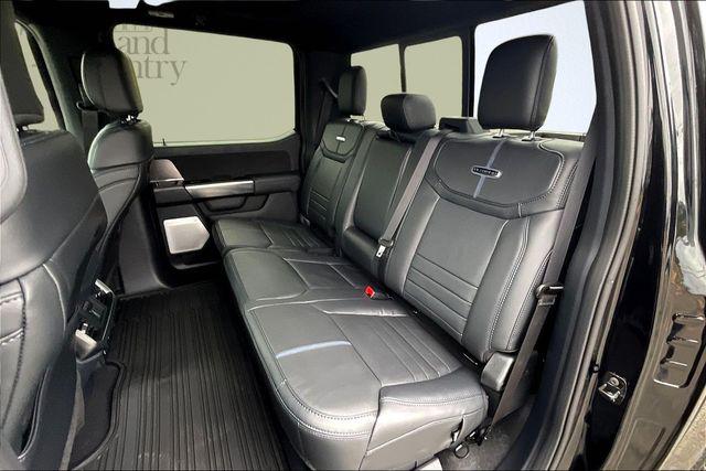 FORD F-150 PLATINUM - 10