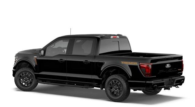 FORD F-150 TREMOR - 2