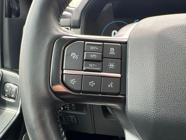 FORD F-150 PLATINUM - 10