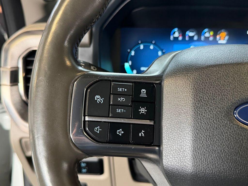 2024 FORD F-150 PLATINUM 缩略图 19