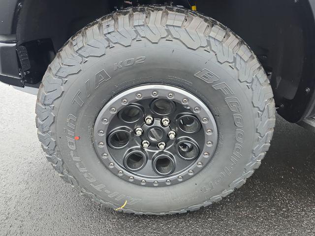 FORD F-150 RAPTOR - 10