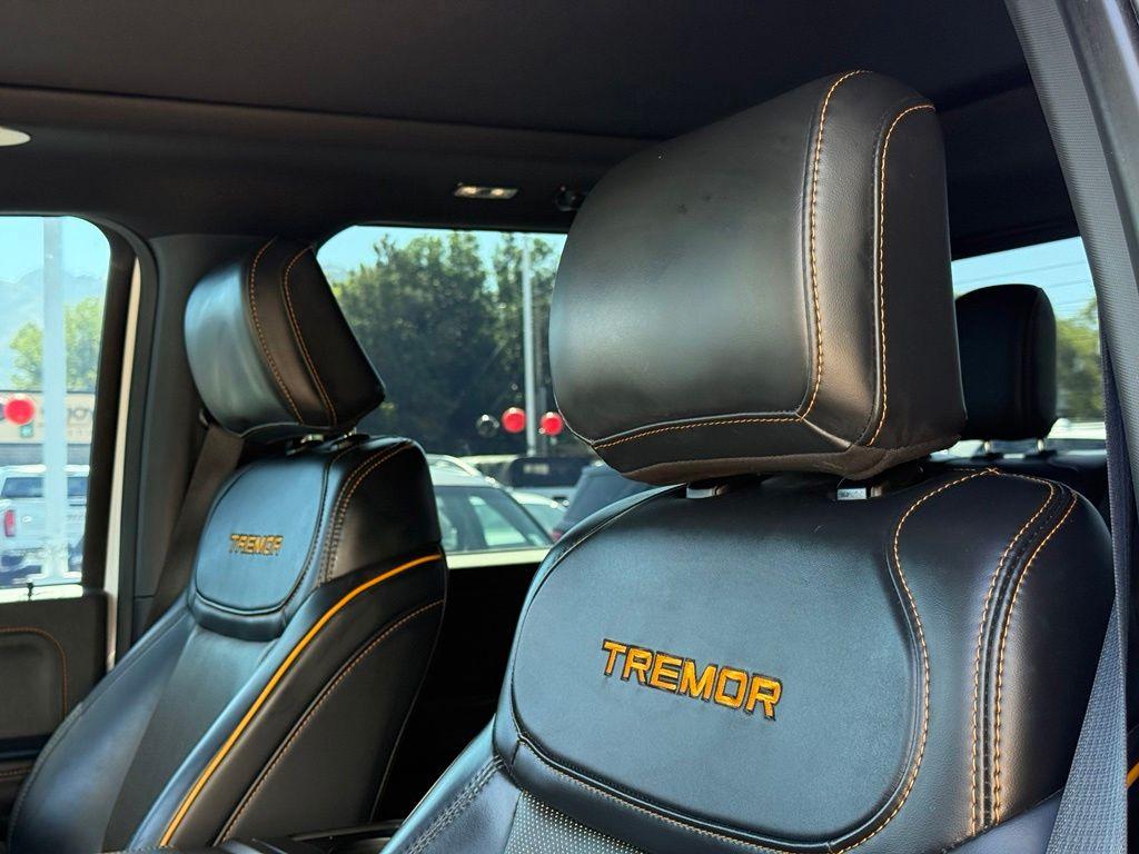 2024 FORD F-150 TREMOR 缩略图 11