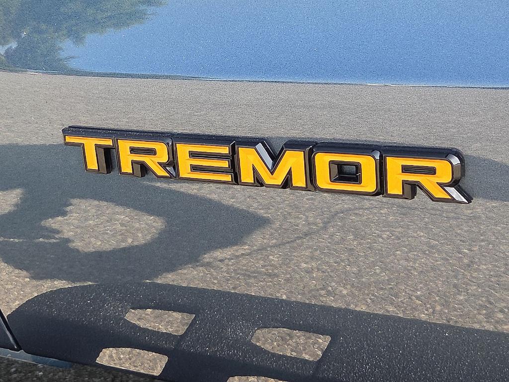صورة 9 لـ 2027 FORD EXPEDITION TREMOR