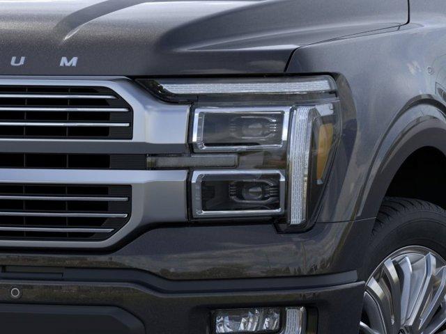 2025 FORD F-150 PLATINUM — миниатюра 18
