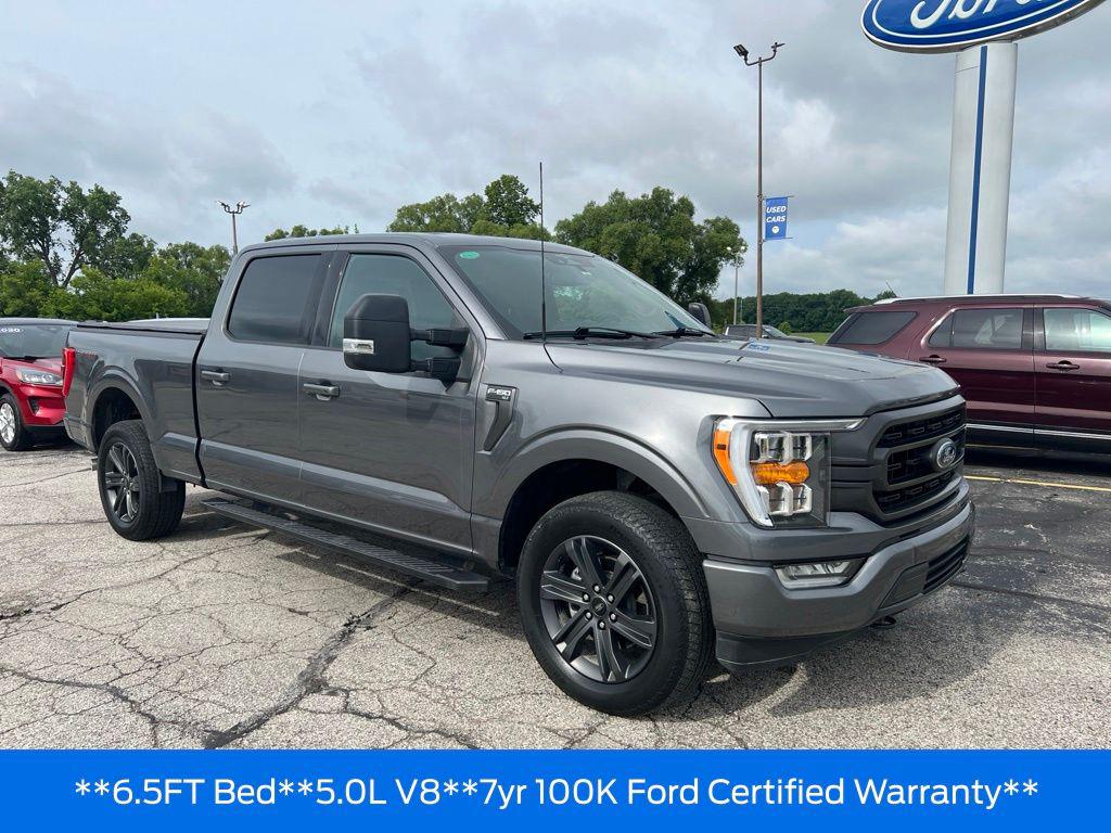 2023 FORD F-150 XLT 照片 8
