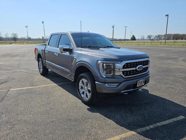FORD F-150 PLATINUM - 2