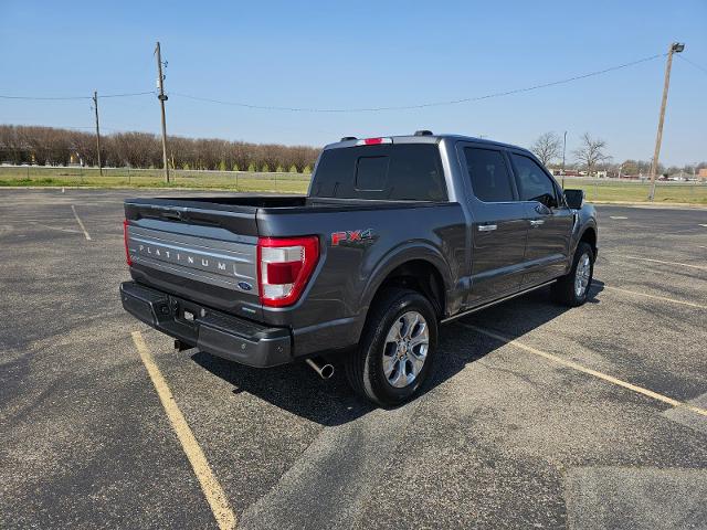 FORD F-150 PLATINUM - 4