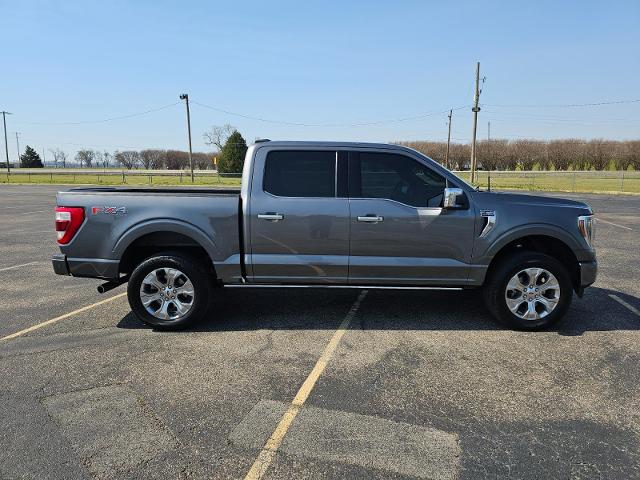 FORD F-150 PLATINUM - 3