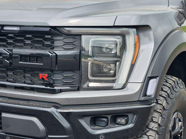 FORD F-150 RAPTOR - 9