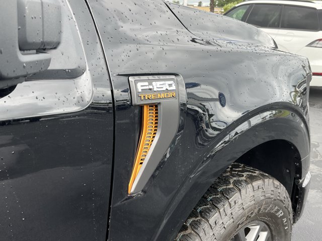 2025 FORD F-150 TREMOR 照片 5