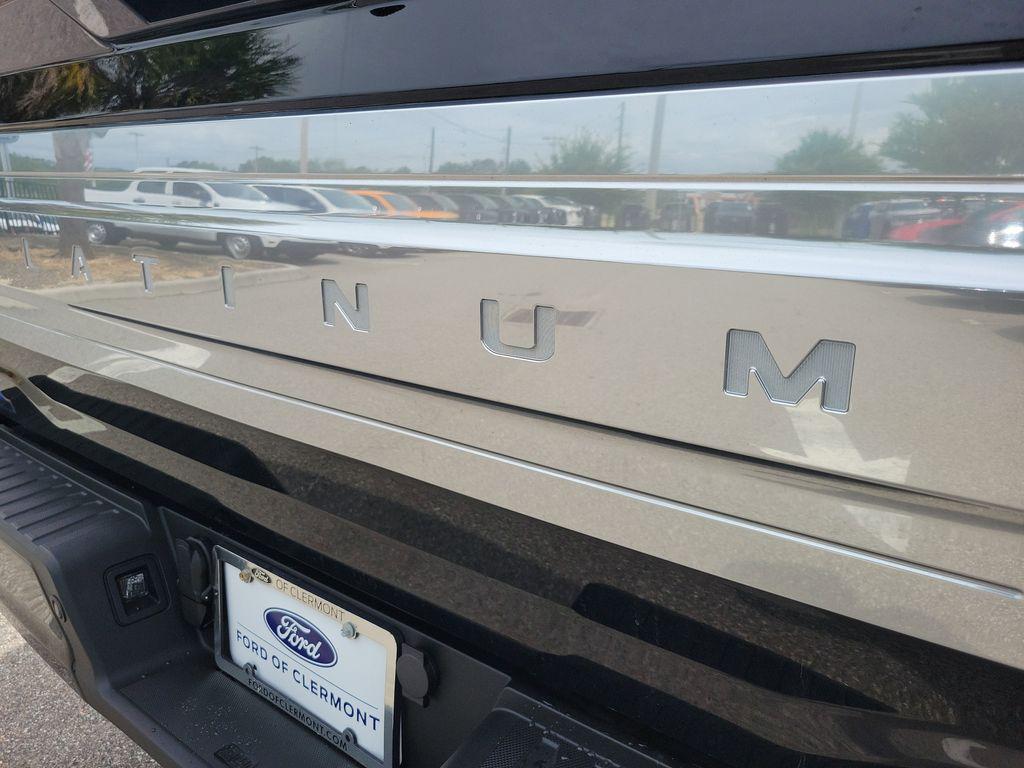 FORD F-150 PLATINUM - 10