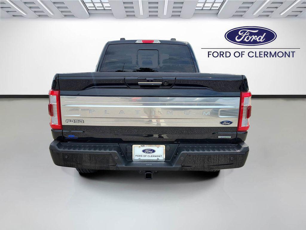 FORD F-150 PLATINUM - 4