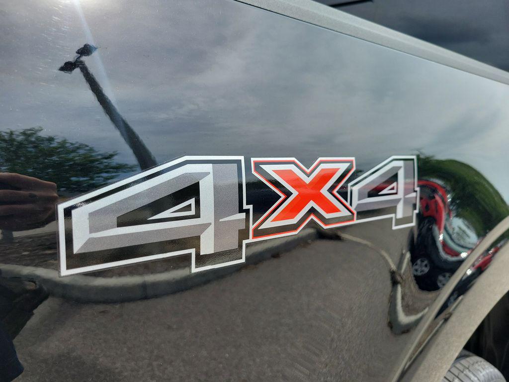 FORD F-150 PLATINUM - 7