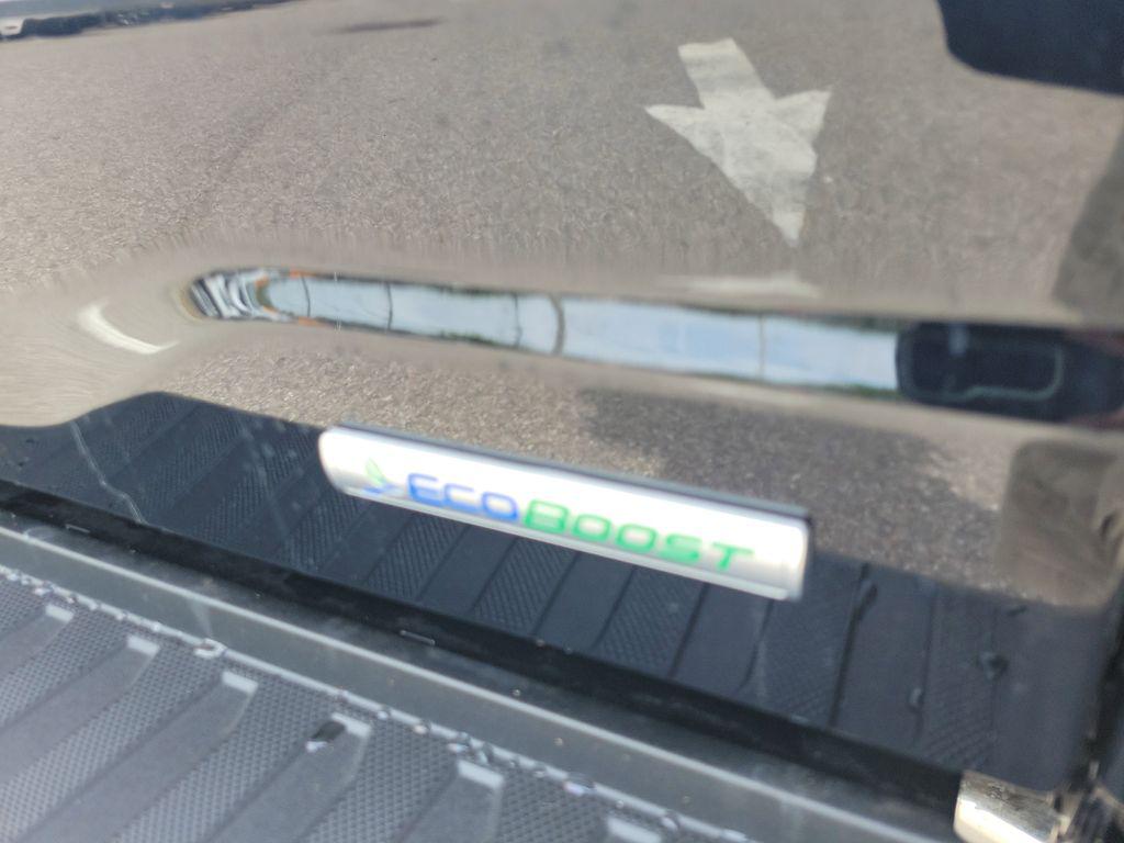 FORD F-150 PLATINUM - 9