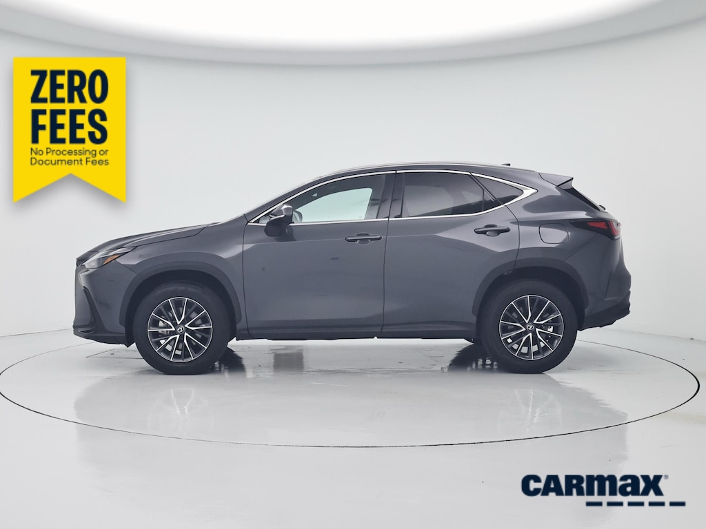 2024 Lexus NX 250 照片 3