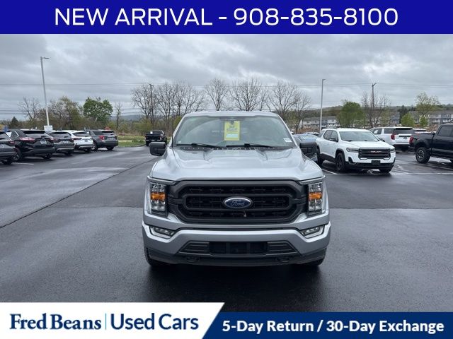 FORD F-150 XLT - 2