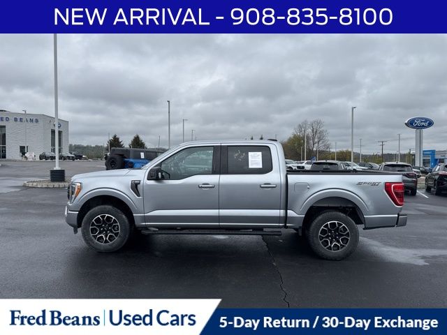 FORD F-150 XLT - 4
