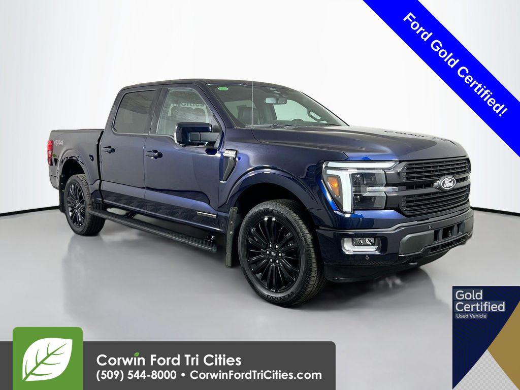 FORD F-150 PLATINUM - 1