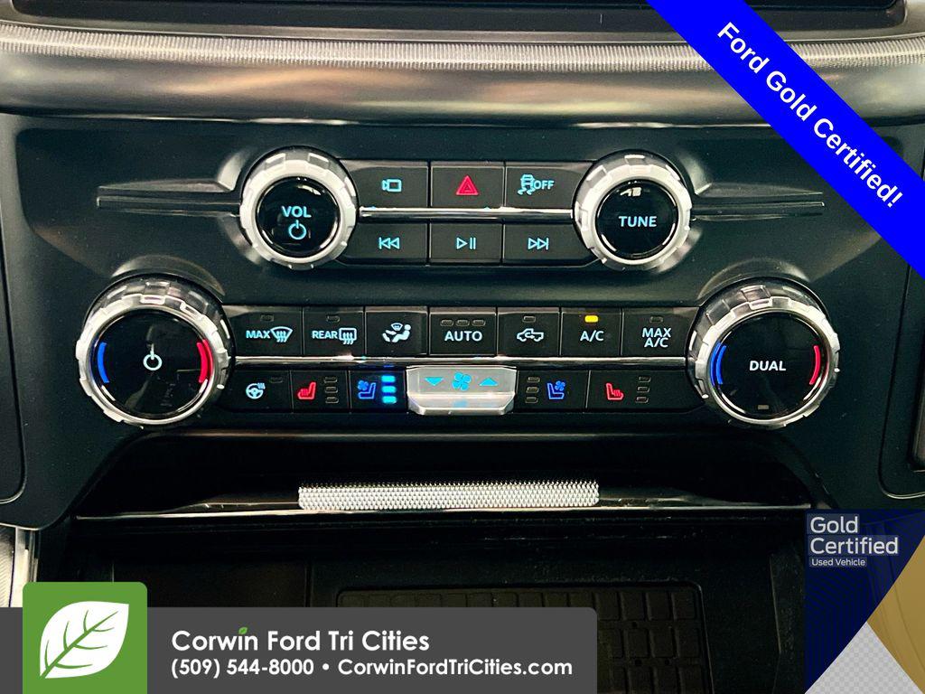 FORD F-150 PLATINUM - 9
