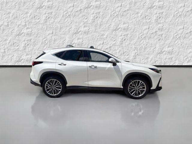 2025 Lexus NX 350 PREMIUM — фото 2