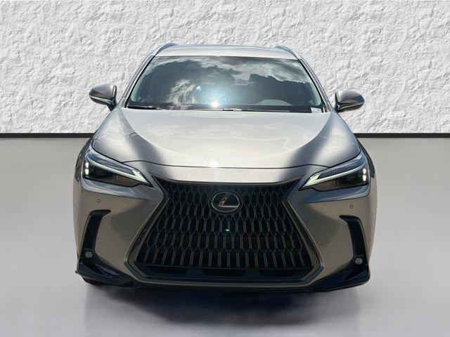 2025 Lexus NX 250 BASE — фото 8