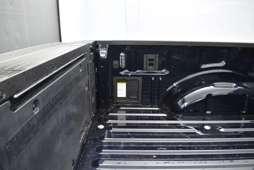 FORD F-150 TREMOR - 9