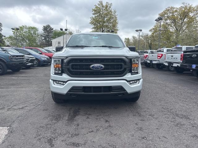 FORD F-150 XLT - 2