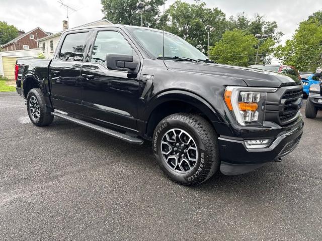 2023 FORD F-150 XLT 照片 3
