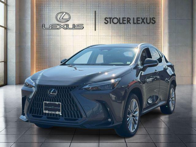 2025 Lexus NX 350 PREMIUM 照片 3