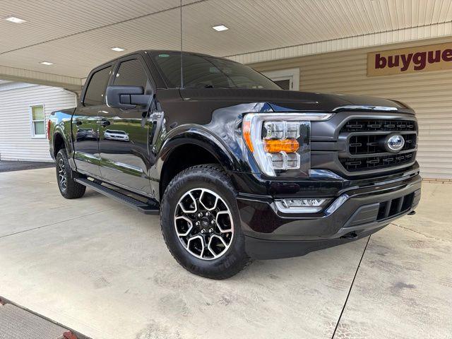 صورة 2 لـ 2023 FORD F-150 XLT