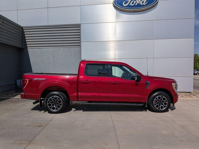 FORD F-150 XLT - 3