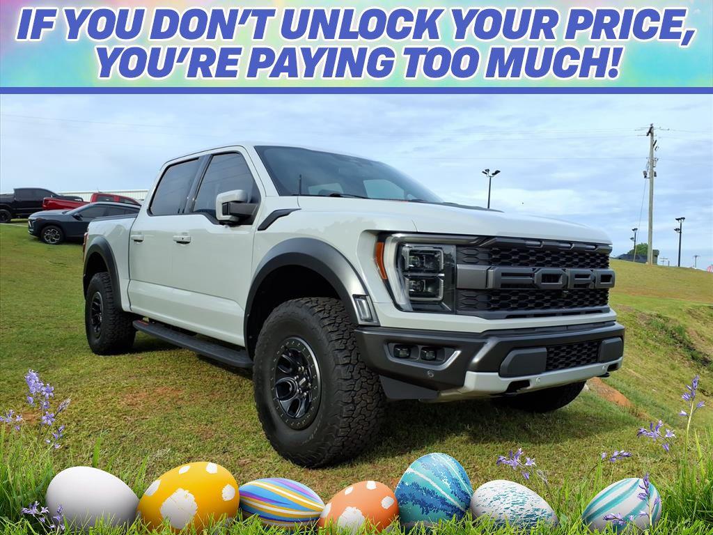 FORD F-150 RAPTOR - 1