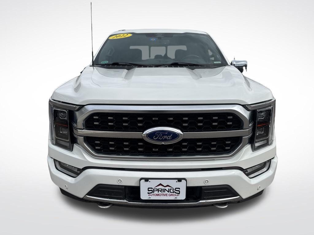 FORD F-150 PLATINUM - 8