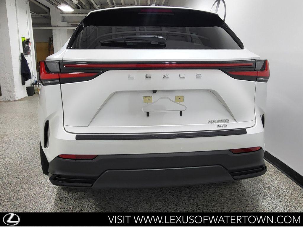 2023 Lexus NX 250 BASE 照片 8