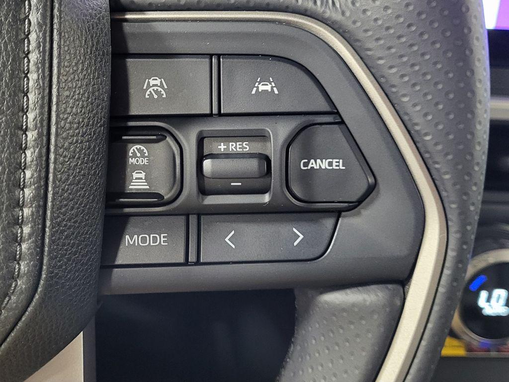 2025 Toyota 4RUNNER LIMITED thumbnail 30