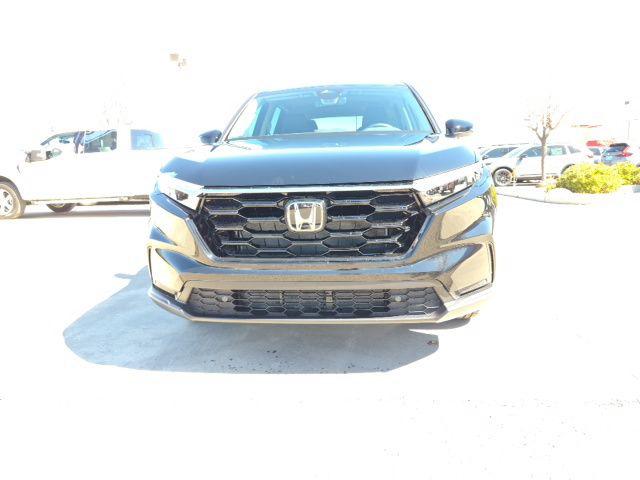 HONDA CR-V EX-L AWD - 8