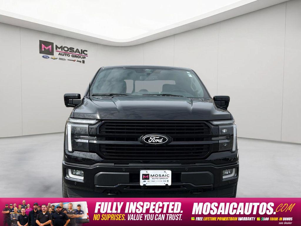 2025 FORD F-150 PLATINUM 照片 2
