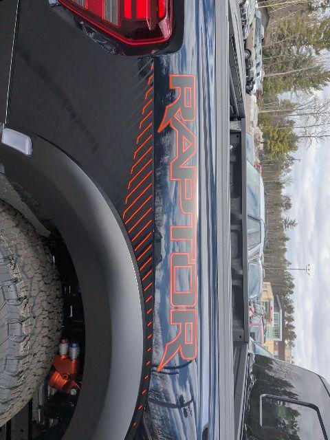 FORD F-150 RAPTOR - 10