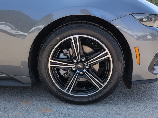 2025 FORD MUSTANG ECOBOOST PREMIUM 缩略图 13