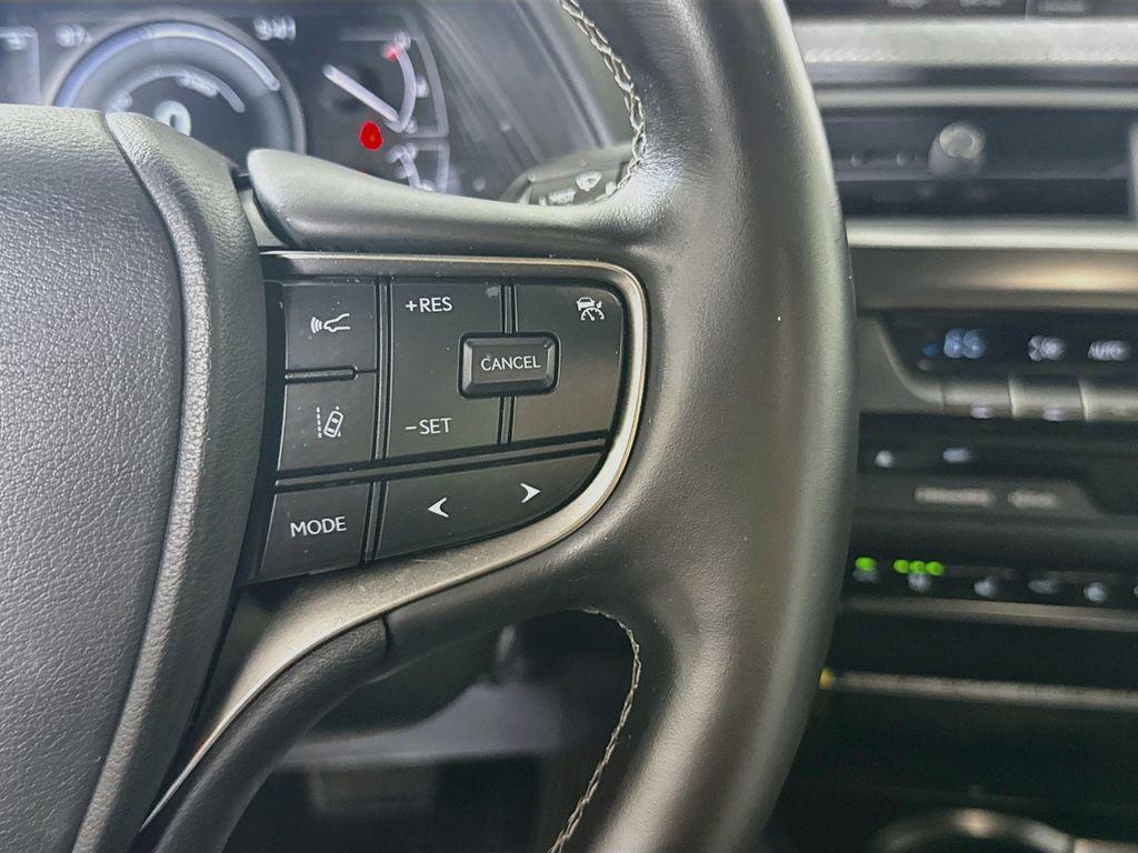 2021 Lexus UX 250H BASE 照片 22