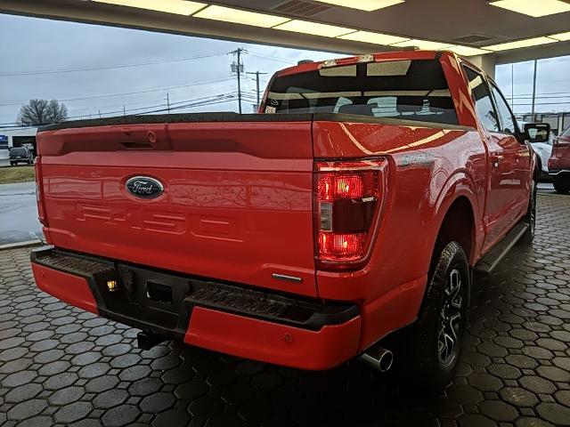 FORD F-150 XLT - 5