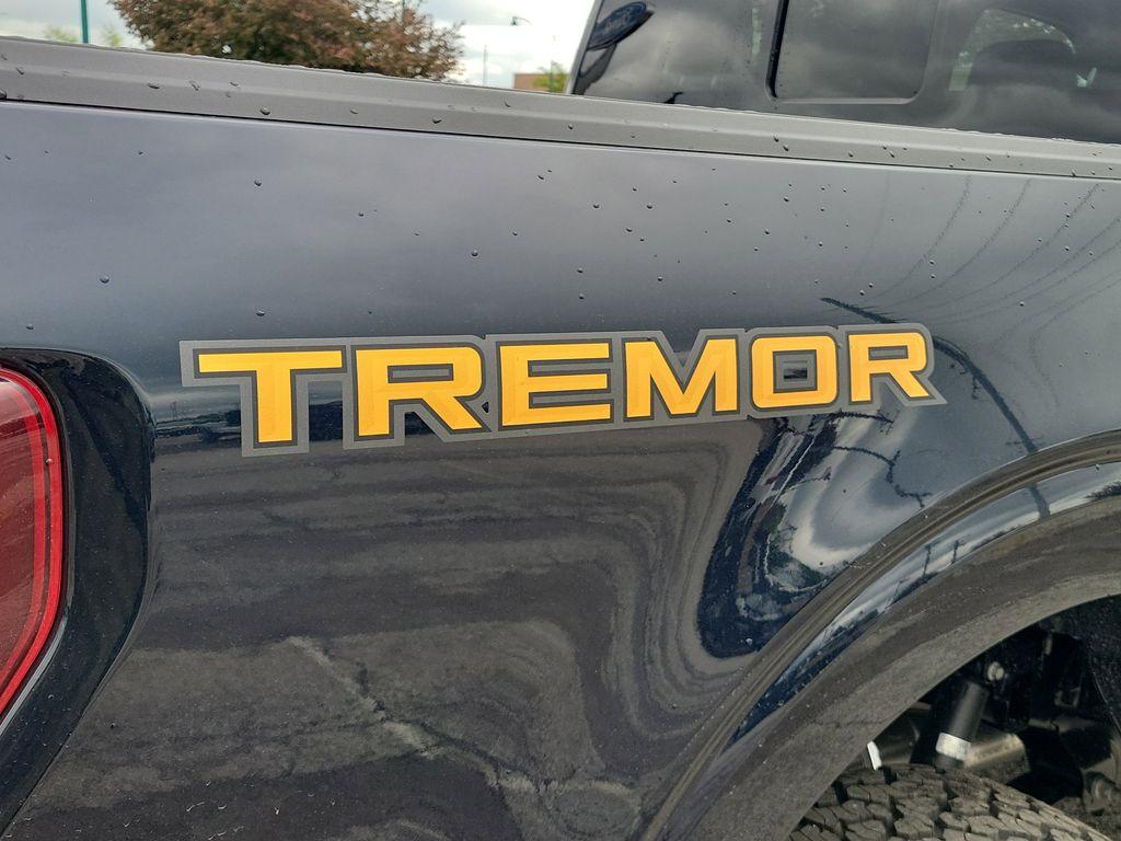 FORD F-150 TREMOR - 7