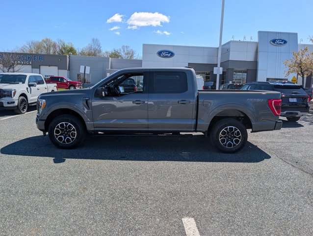 FORD F-150 XLT - 6