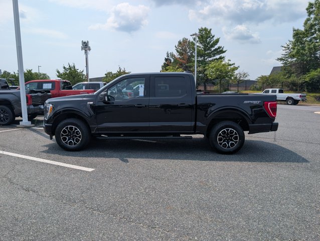 2023 FORD F-150 XLT 照片 6