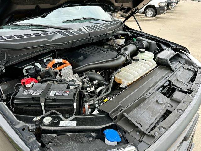صورة مصغرة 25 لـ 2023 FORD F-150 XLT