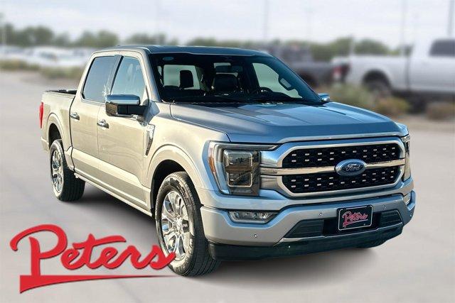 FORD F-150 PLATINUM - 1