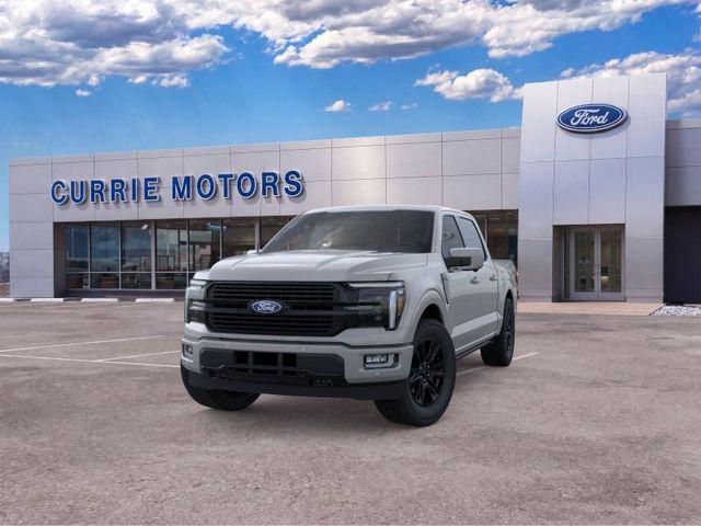 2026 FORD F-150 PLATINUM 照片 2