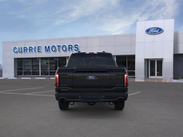 FORD F-150 TREMOR - 5