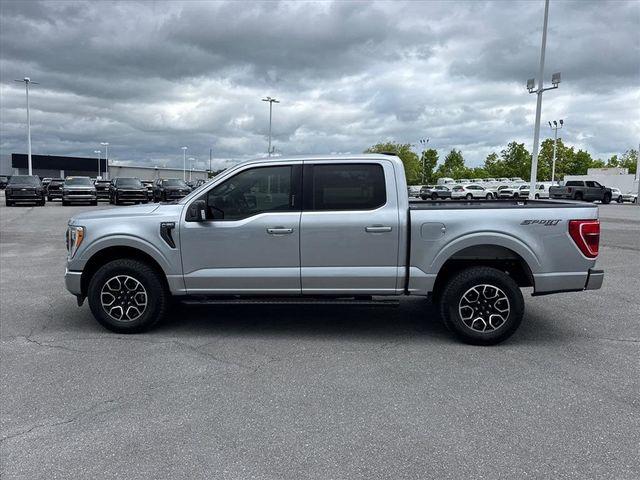 FORD F-150 XLT - 2